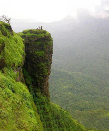 Nelliyampathy-Hills-vertical