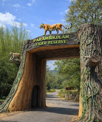 parambikulam-tiger-reserve-vertical